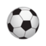青岛红狮U21 青岛红狮U21